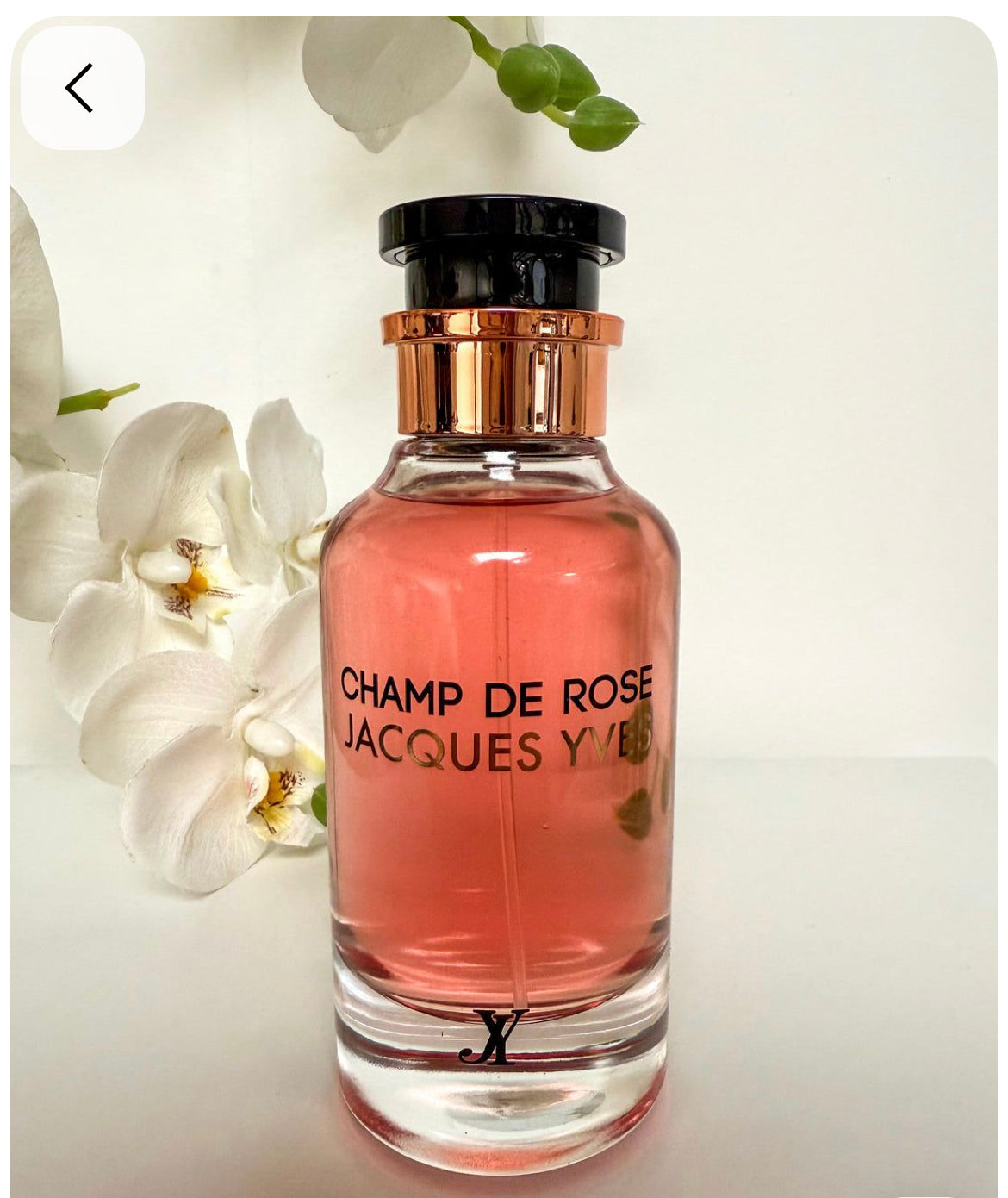 Champ De Rose Jaques YVES